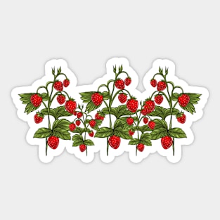 Wild Strawberries Sticker